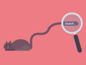 Long tail keywords: What They Are & Why Sites Need Them