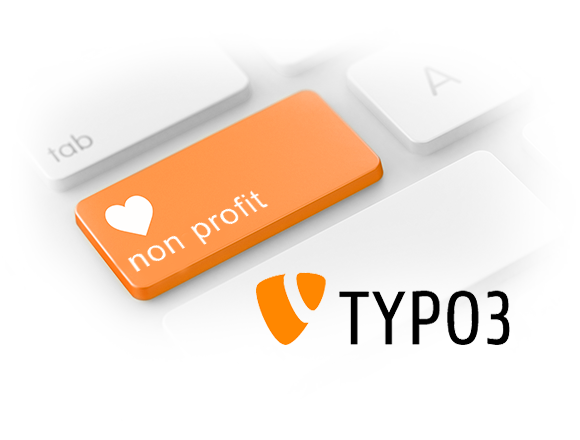 Mission Possible: TYPO3 CMS Transforms How Two Nonprofits Serve Their Causes Thanks to Customized Extensions