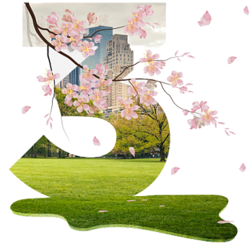 Spring it on!