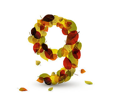 Happy fall to one and all