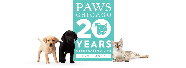 PAWS Chicago Landing Page
