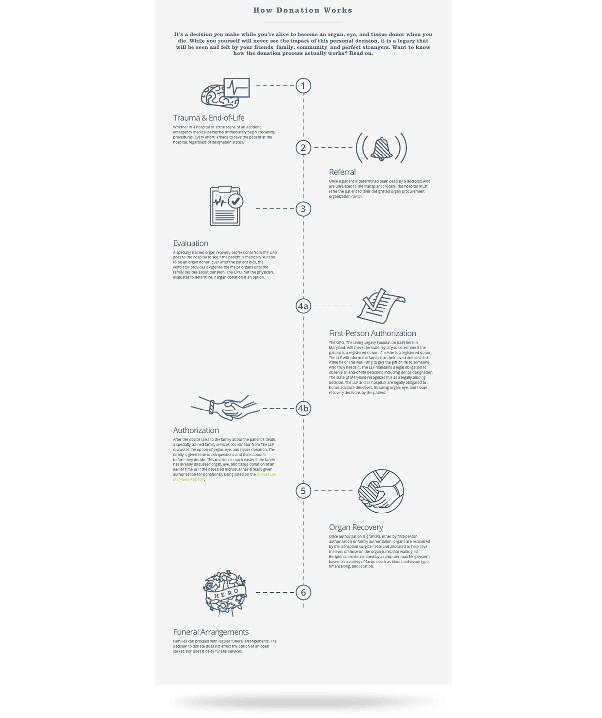 Infographic - How Donation Works