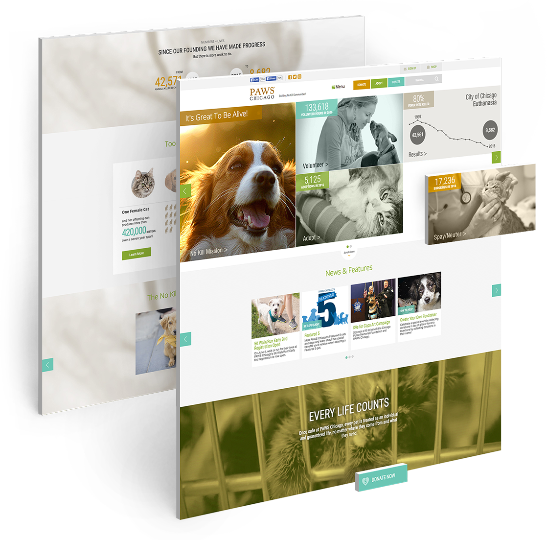 PAWS website