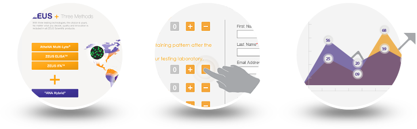 Product Presentation - Customer Questionnaire - Analysis & Reports